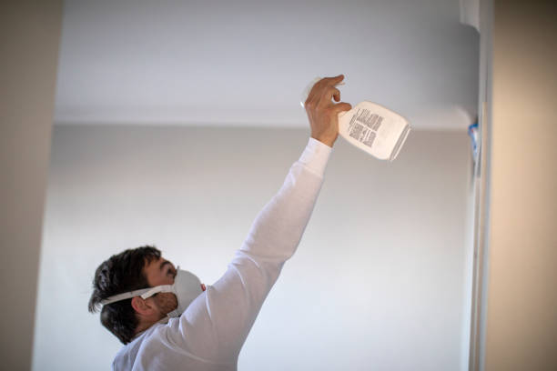 Best Same-Day Mold Removal  in Twin Lakes, VA