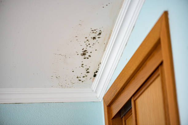 Best Water Damage Restoration  in Twin Lakes, VA