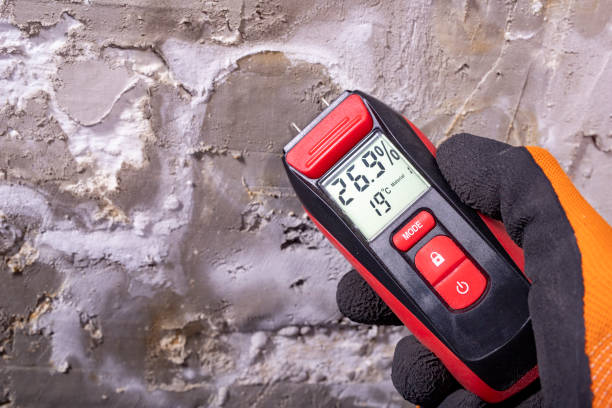 Best Local Mold Removal Service  in Twin Lakes, VA