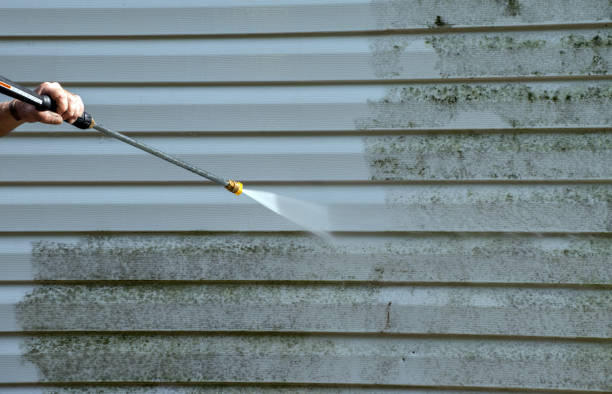 Twin Lakes, VA Mold Removal Company