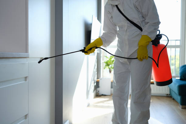 Best Fast Mold Removal  in Twin Lakes, VA
