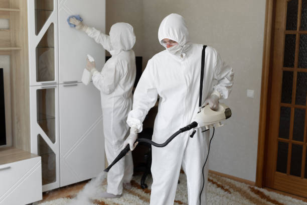Best Professional Mold Removal  in Twin Lakes, VA