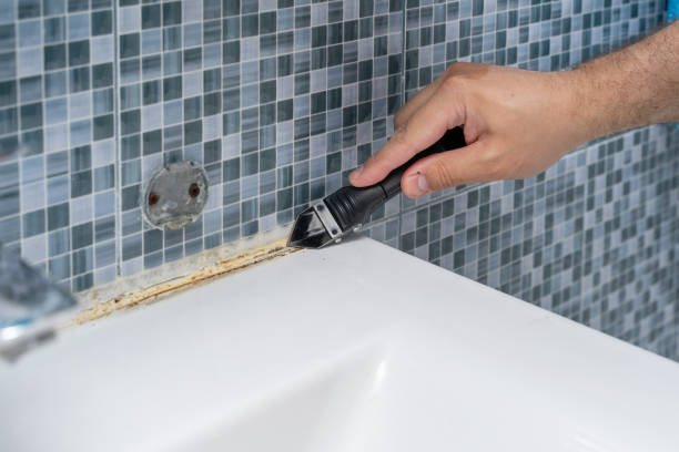 Best Emergency Mold Removal  in Twin Lakes, VA