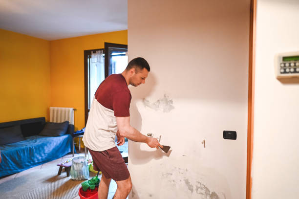 Best Crawl Space Mold Removal  in Twin Lakes, VA