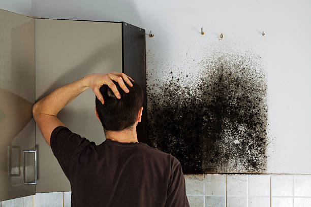 Best Mold Removal and Inspection  in Twin Lakes, VA